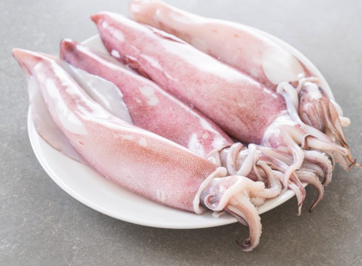 Sotong