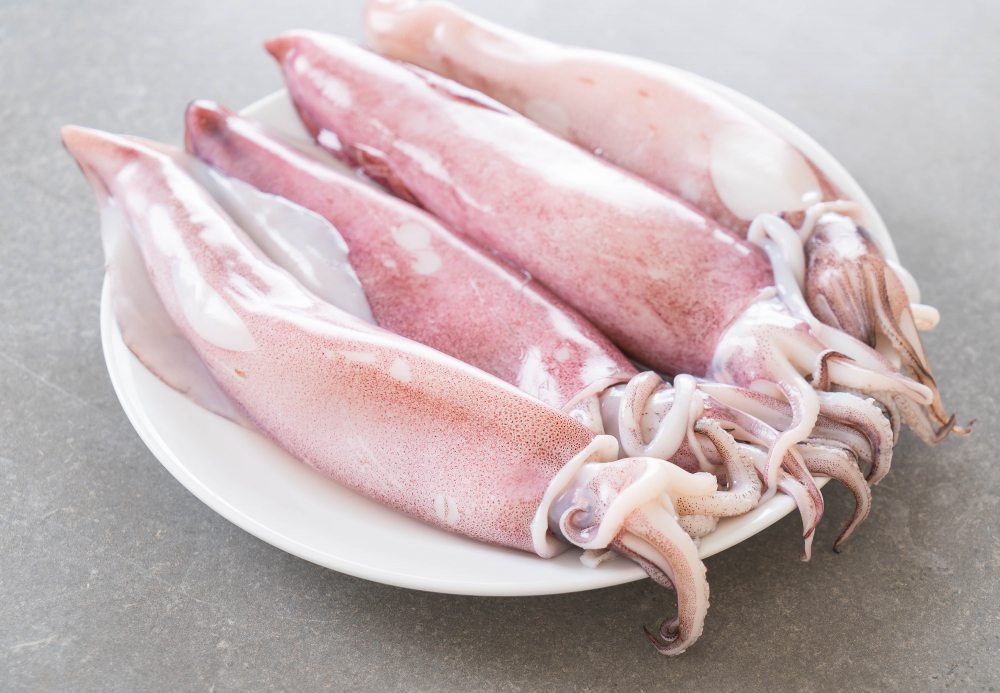 Sotong