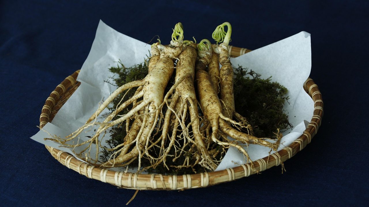 Ginseng