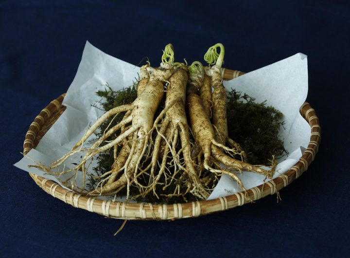 Ginseng