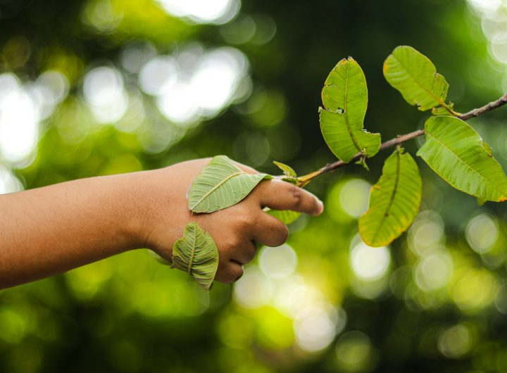 perlindungan lingkungan