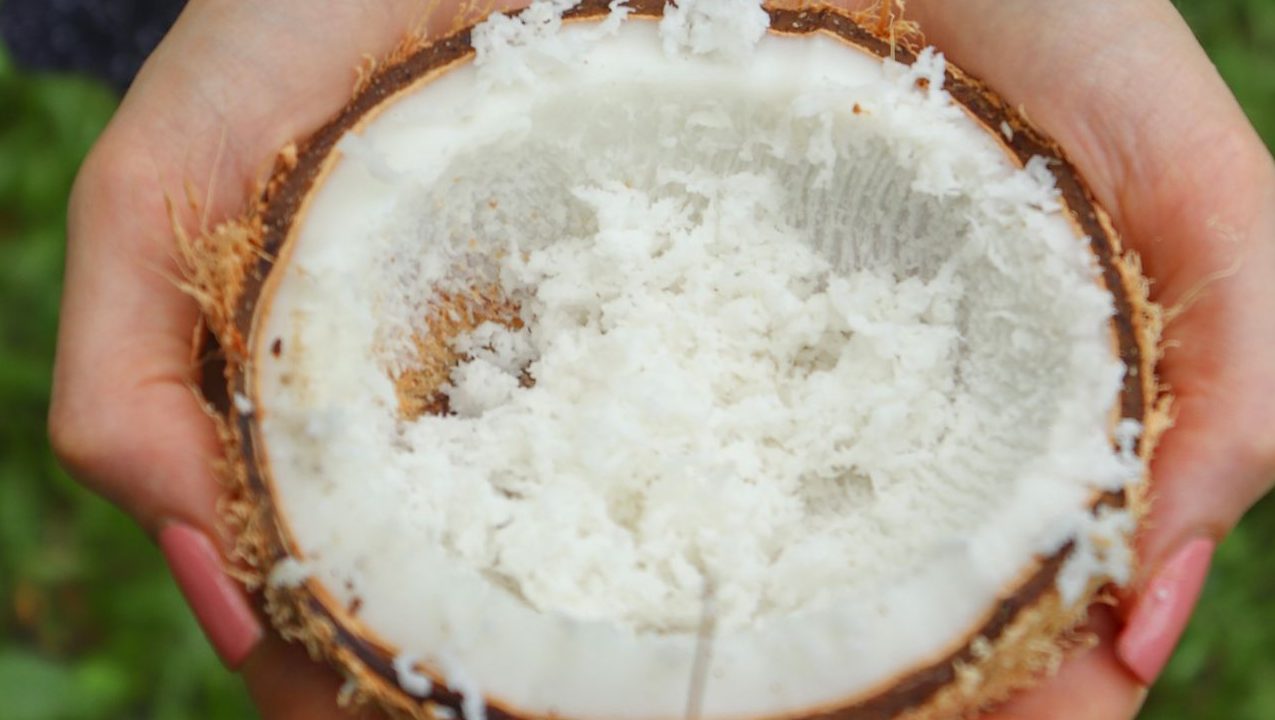 Kelapa parut
