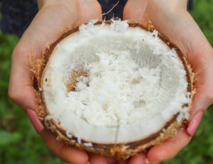 Kelapa parut