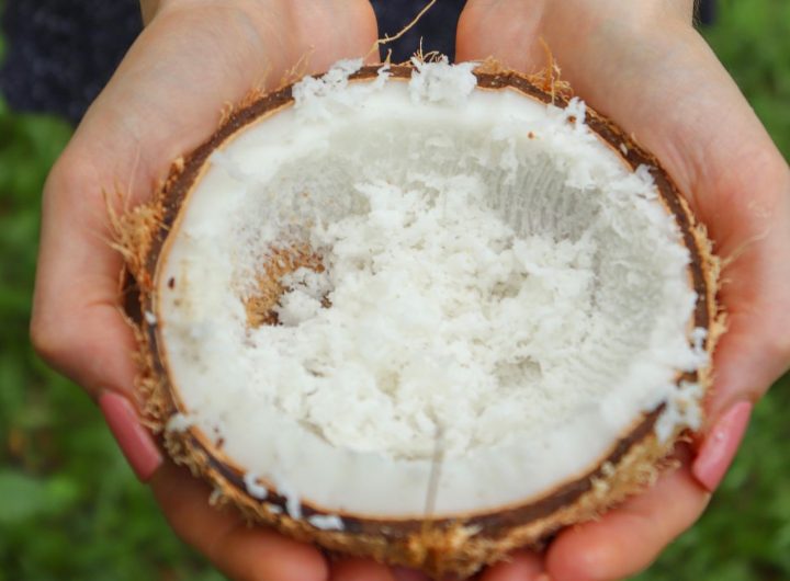 Kelapa parut